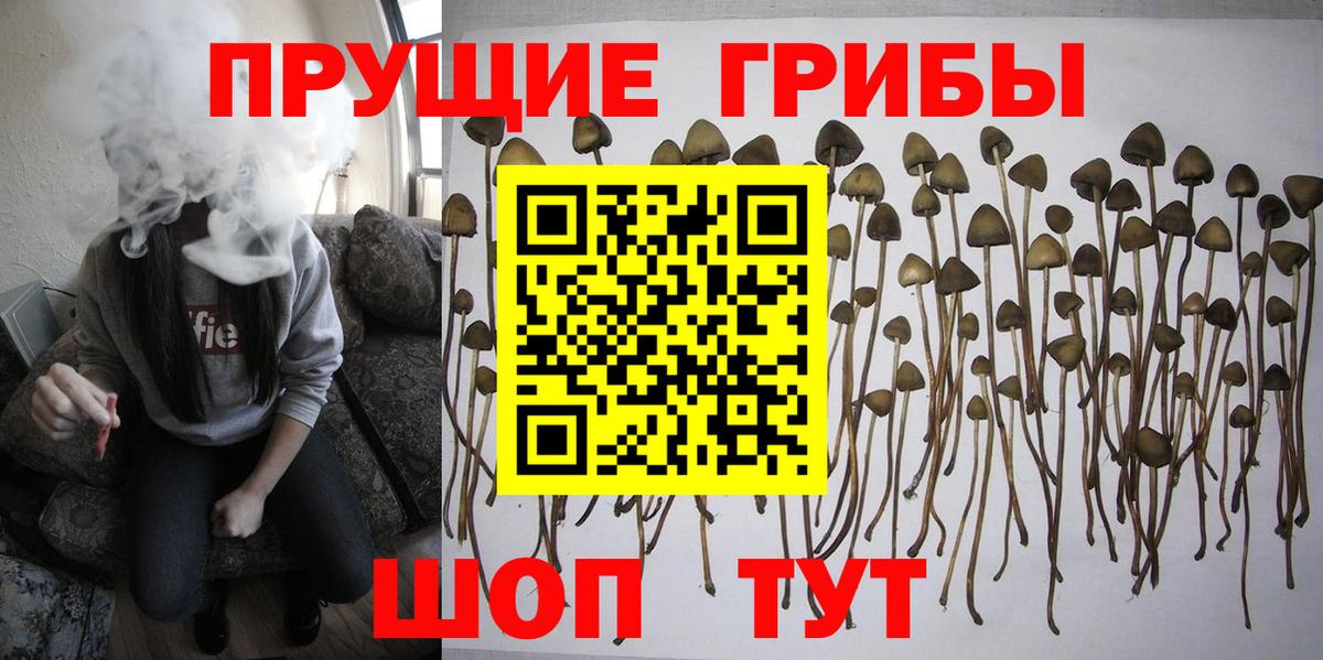 Краснокамск  Галлюциногенные грибы ЛСД  Галлюциногенные грибы мицелий  купить наркотик  Вход с VPN 